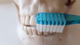 Thumbnail of post image 184